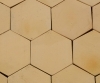 Yellow hexagonal floor plates