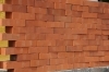Standard Brick, color bright red